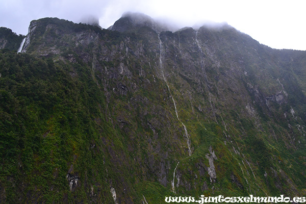 Milford Sound 6