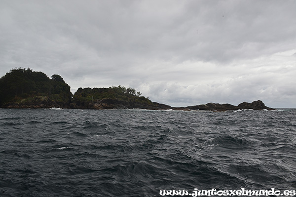 Milford Sound 7