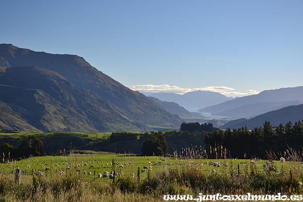 De Arrowtown a Wanaka 2